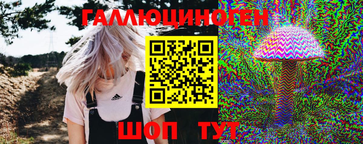 Галлюциногенные грибы Psilocybe  где продают наркотики  Красный Сулин  Вход с VPN  Псилоцибиновые грибы ЛСД 