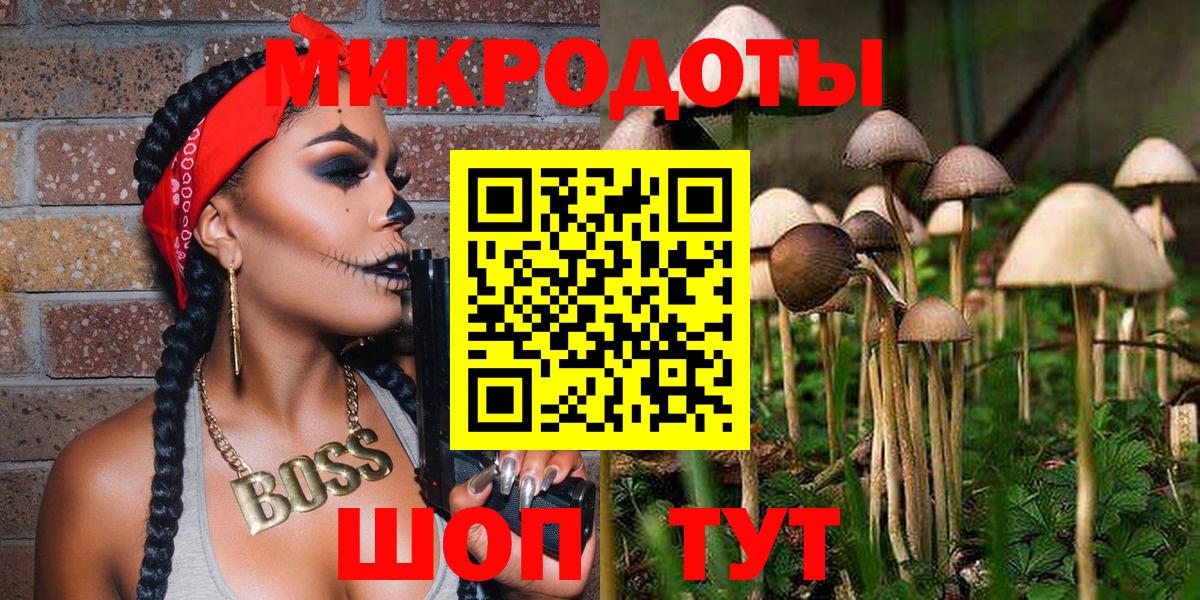 Псилоцибиновые грибы мицелий Красный Сулин